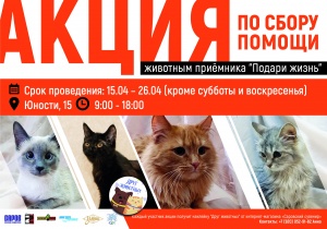 Помощь приемнику.jpg